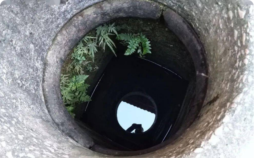 Pump water from a well/borehole